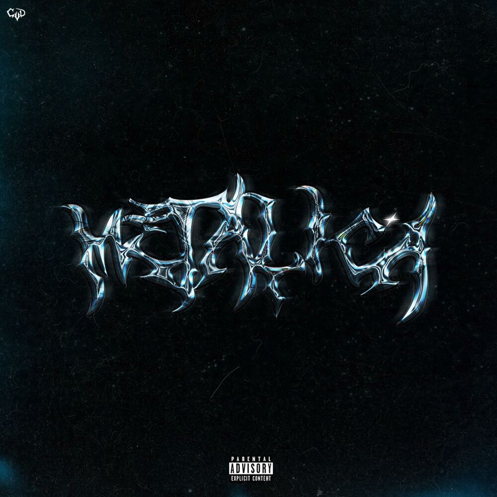 Picture of Metalica