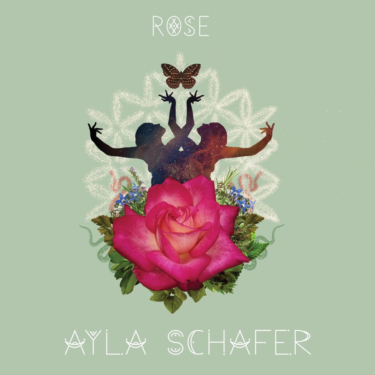 Album cover of Rose