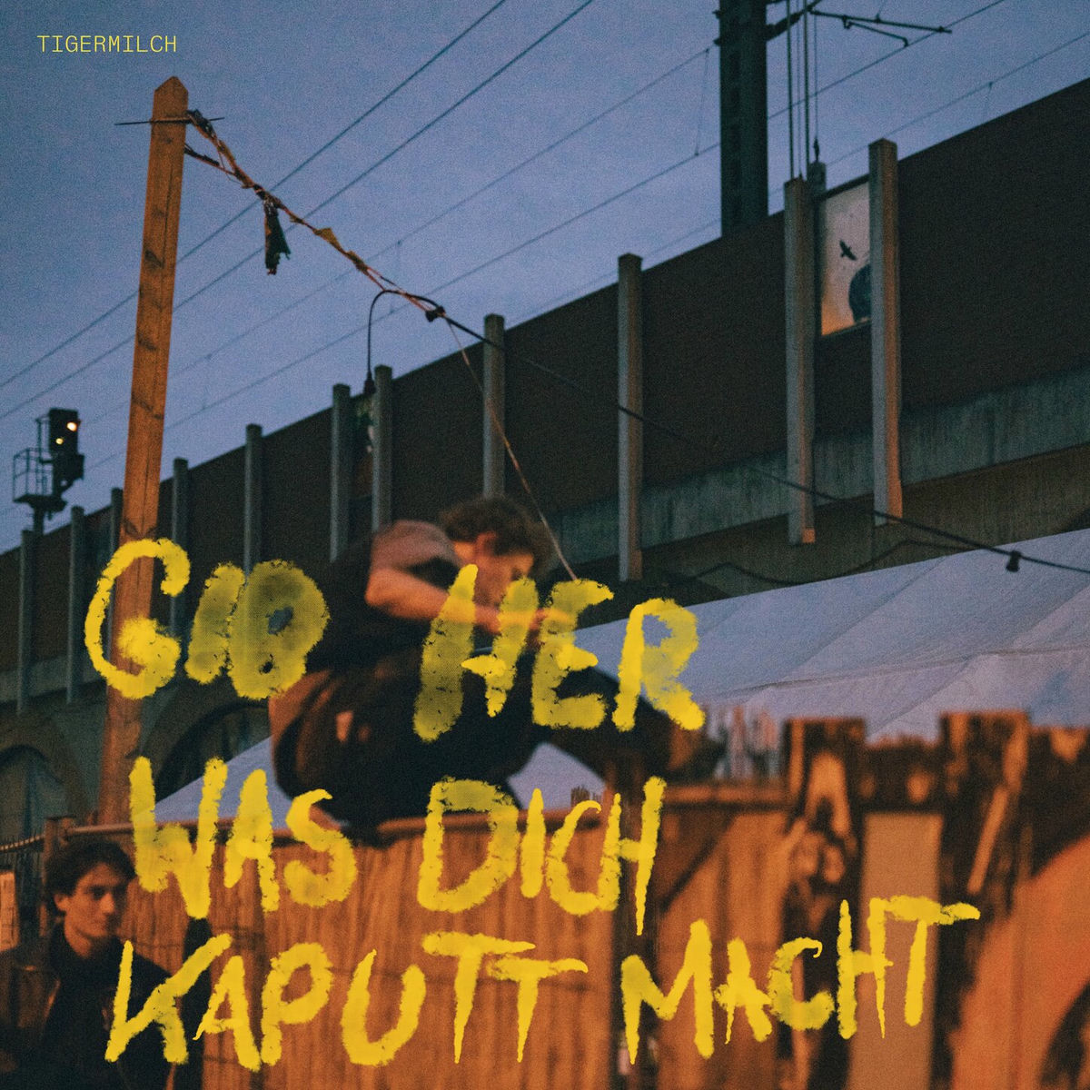 Album cover of Gib her was dich kaputt macht