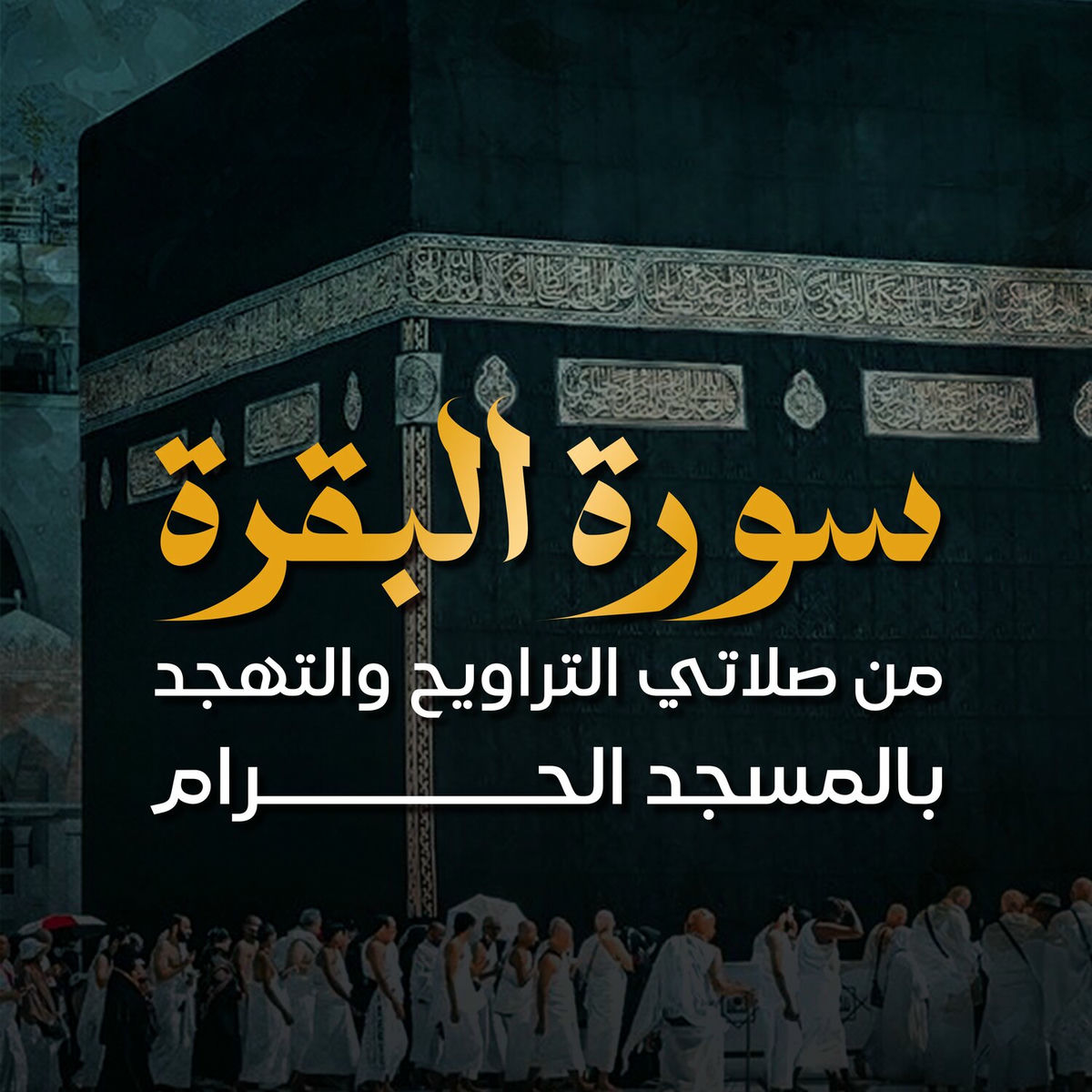 Album cover of سورة البقرة من صلاتي التراويح والتهجد بالمسجد الحرام