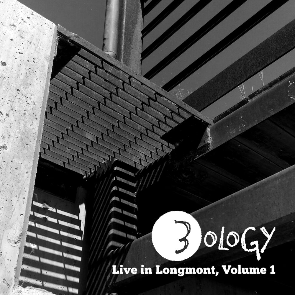 Picture of Live in Longmont, Vol. 1
