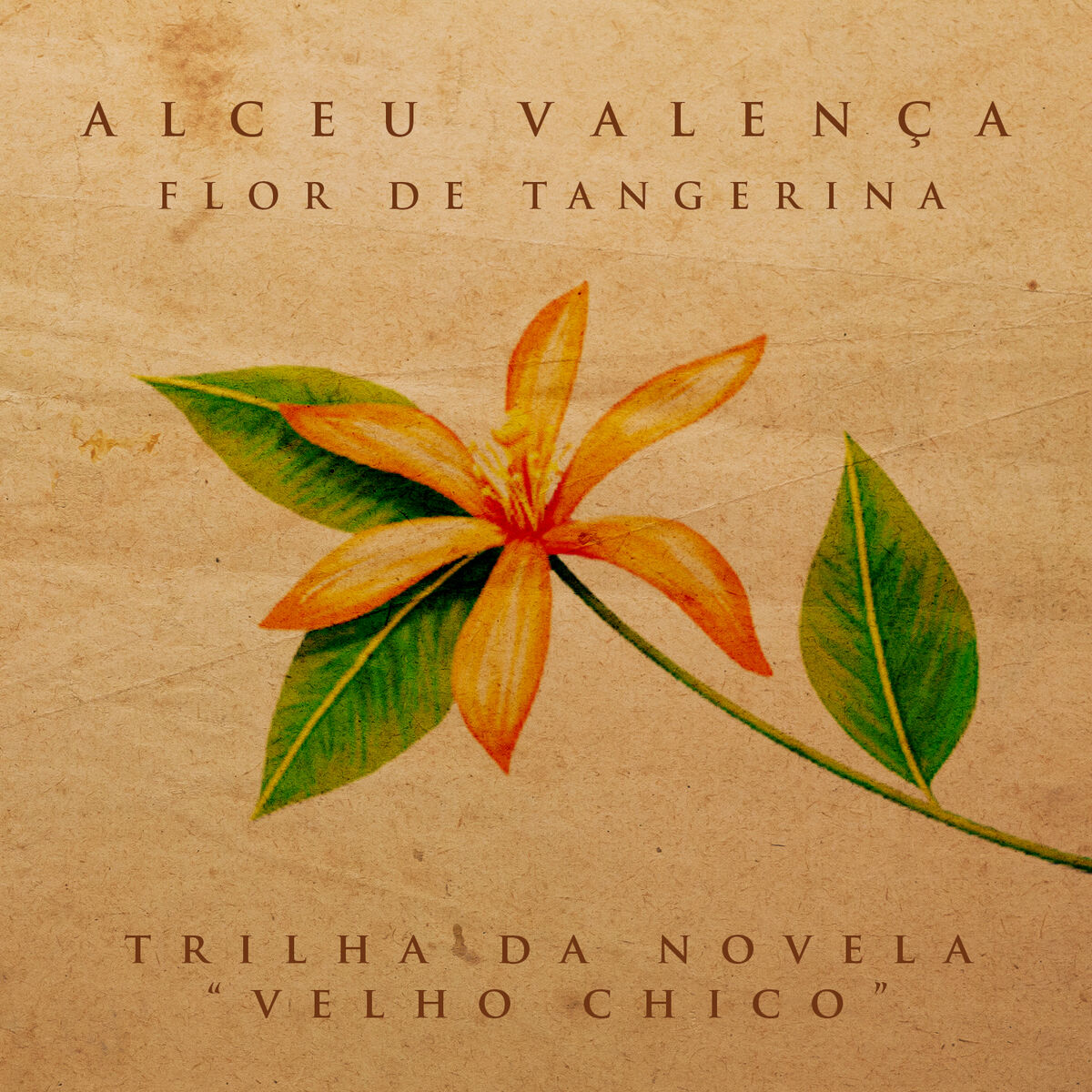Album cover of Flor de Tangerina