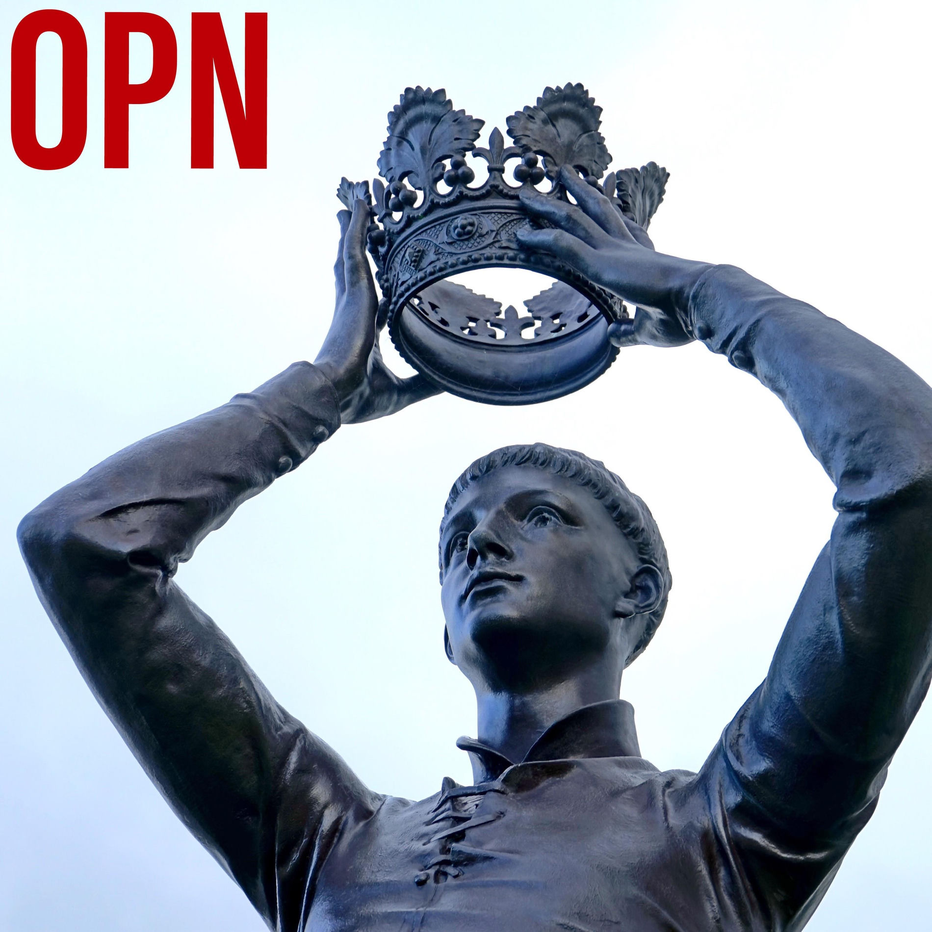 Album cover of OPN