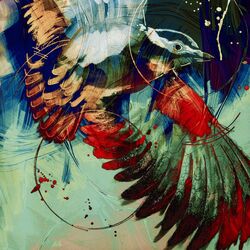 Cover of Night Dive