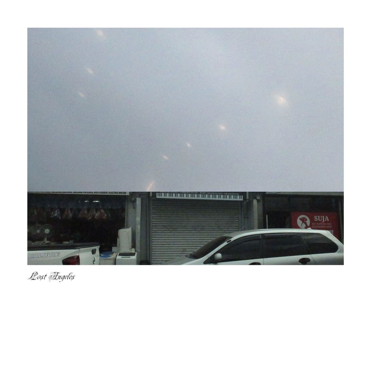 Album cover of Lost Angeles