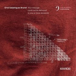 Cover of Oriol Saladrigues Brunet: Your message could not be delivered to one or more Recipients.