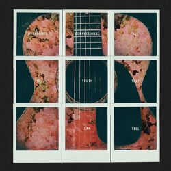 Cover of All The Truth That I Can Tell