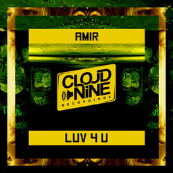 Cover of Luv 4 U
