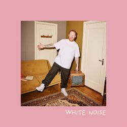 Cover of White Noise