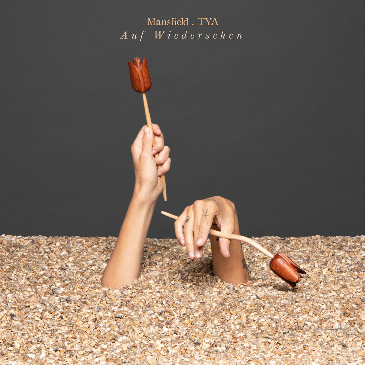 Album cover of Auf Wiedersehen