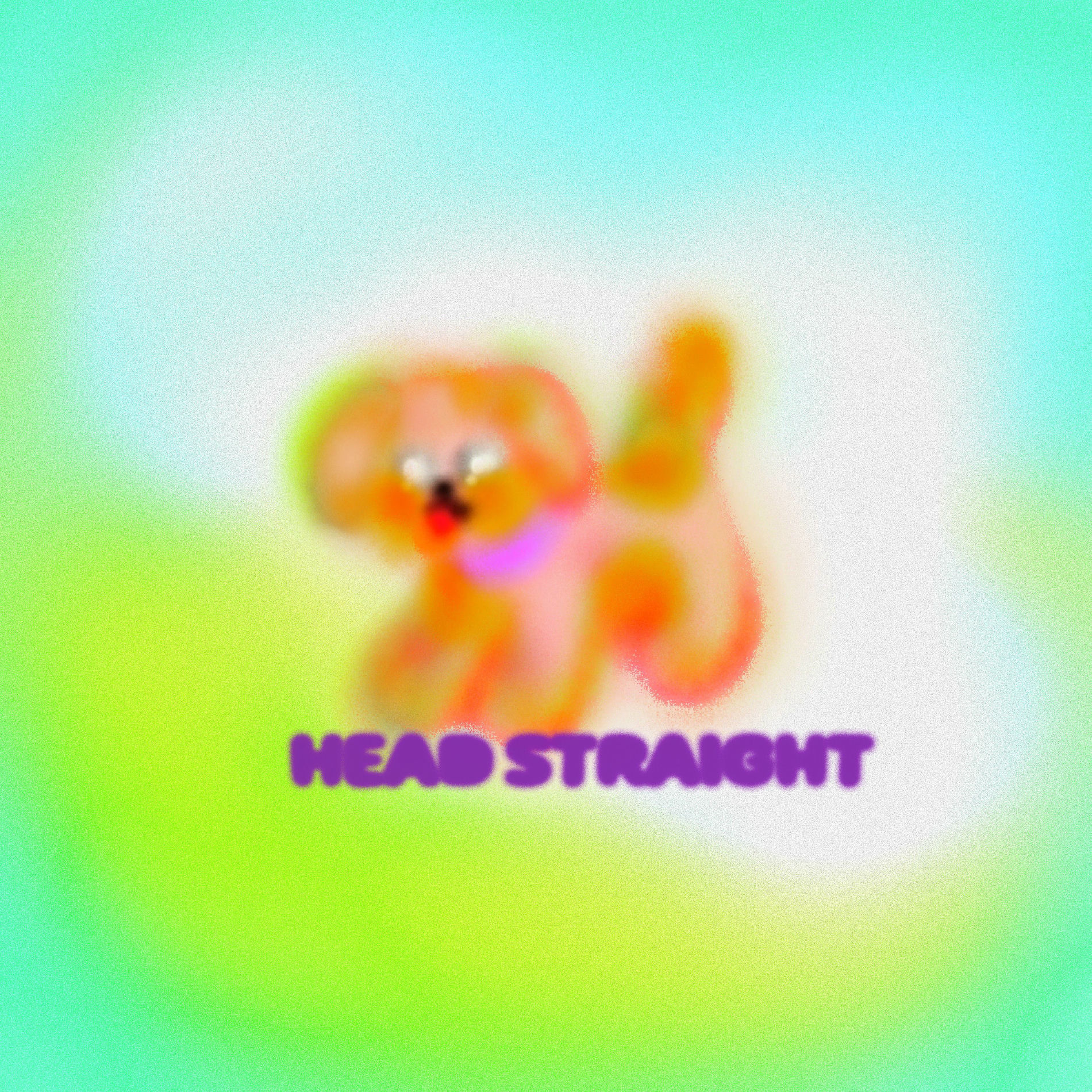 Album cover of Head Straight