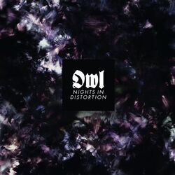Cover of Nights in Distortion