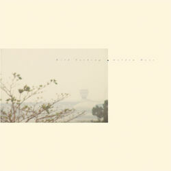 Cover of Golden Haze