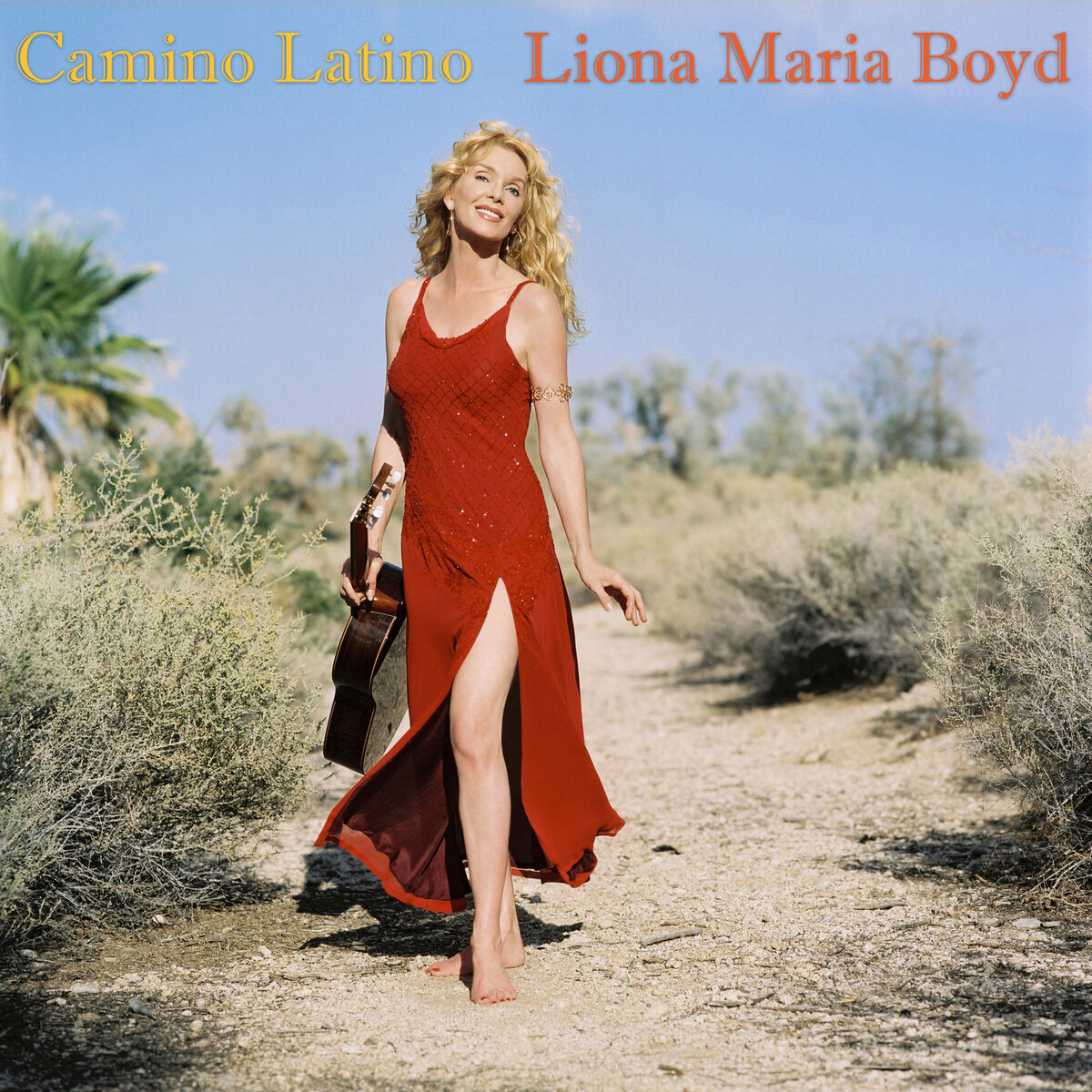 Album cover of Camino Latino