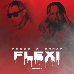 Cover of Flexi (Remix)