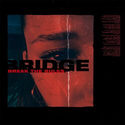 Cover of Break the Rules