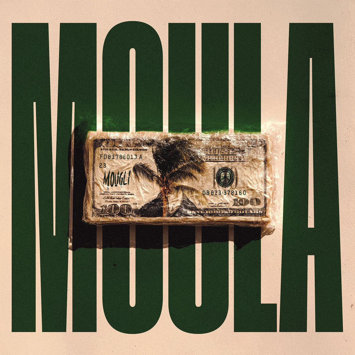 Album cover of MOULA