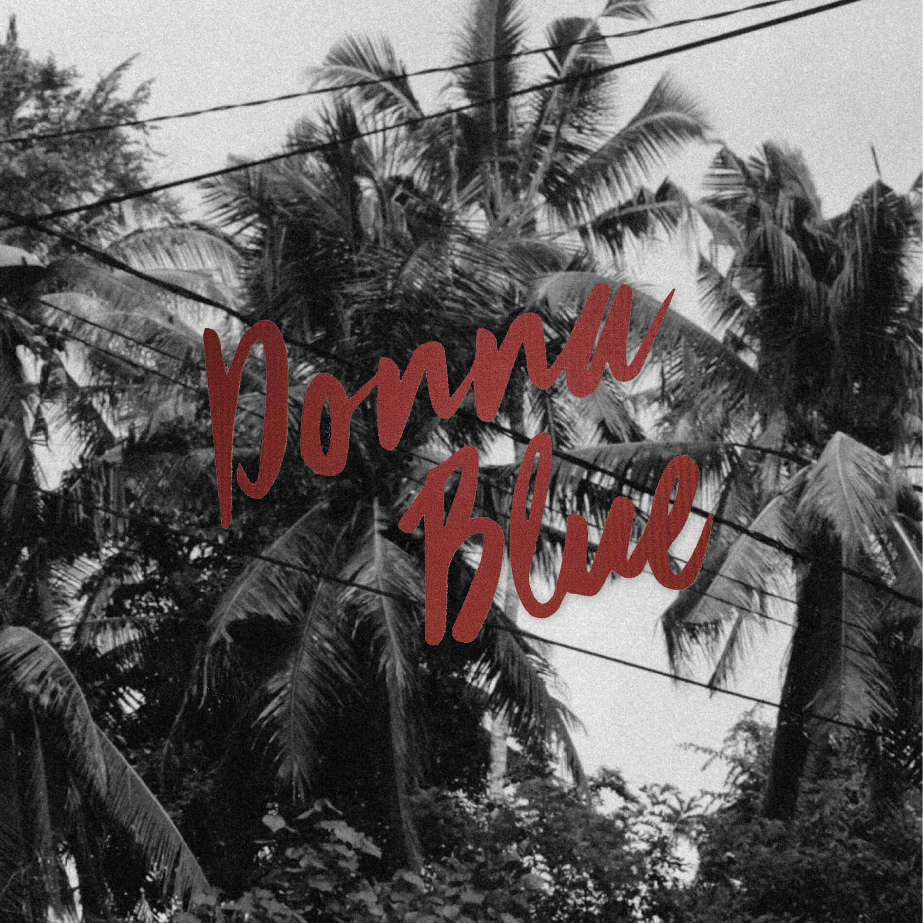 Album cover of Baby