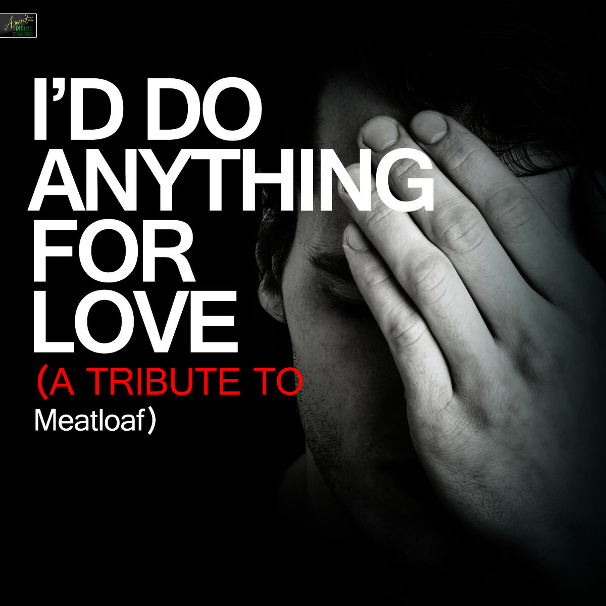 Album cover of I'd Do Anything for Love (A Tribute to Meatloaf)
