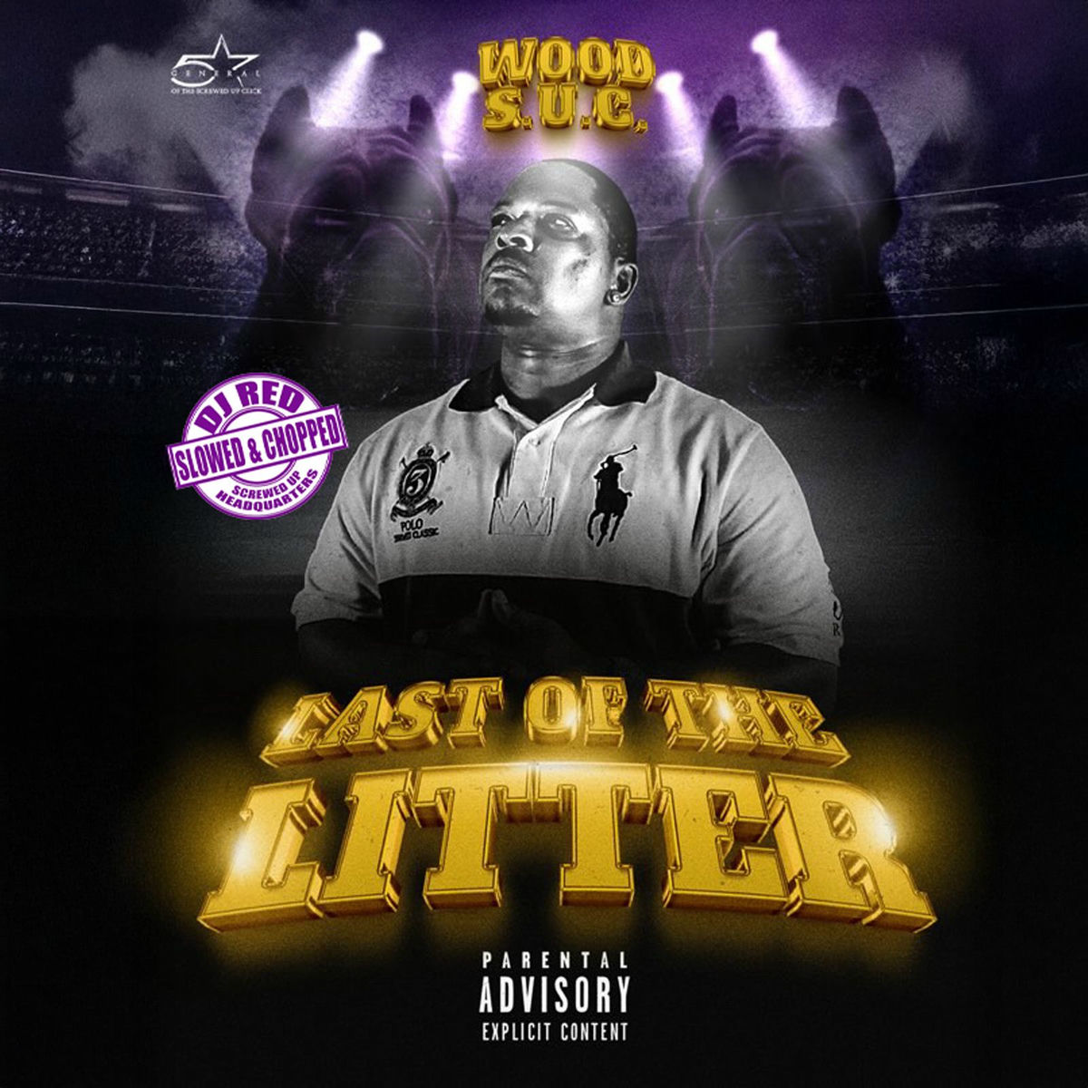 Album cover of Last of The Litter (Slowed & Chopped)