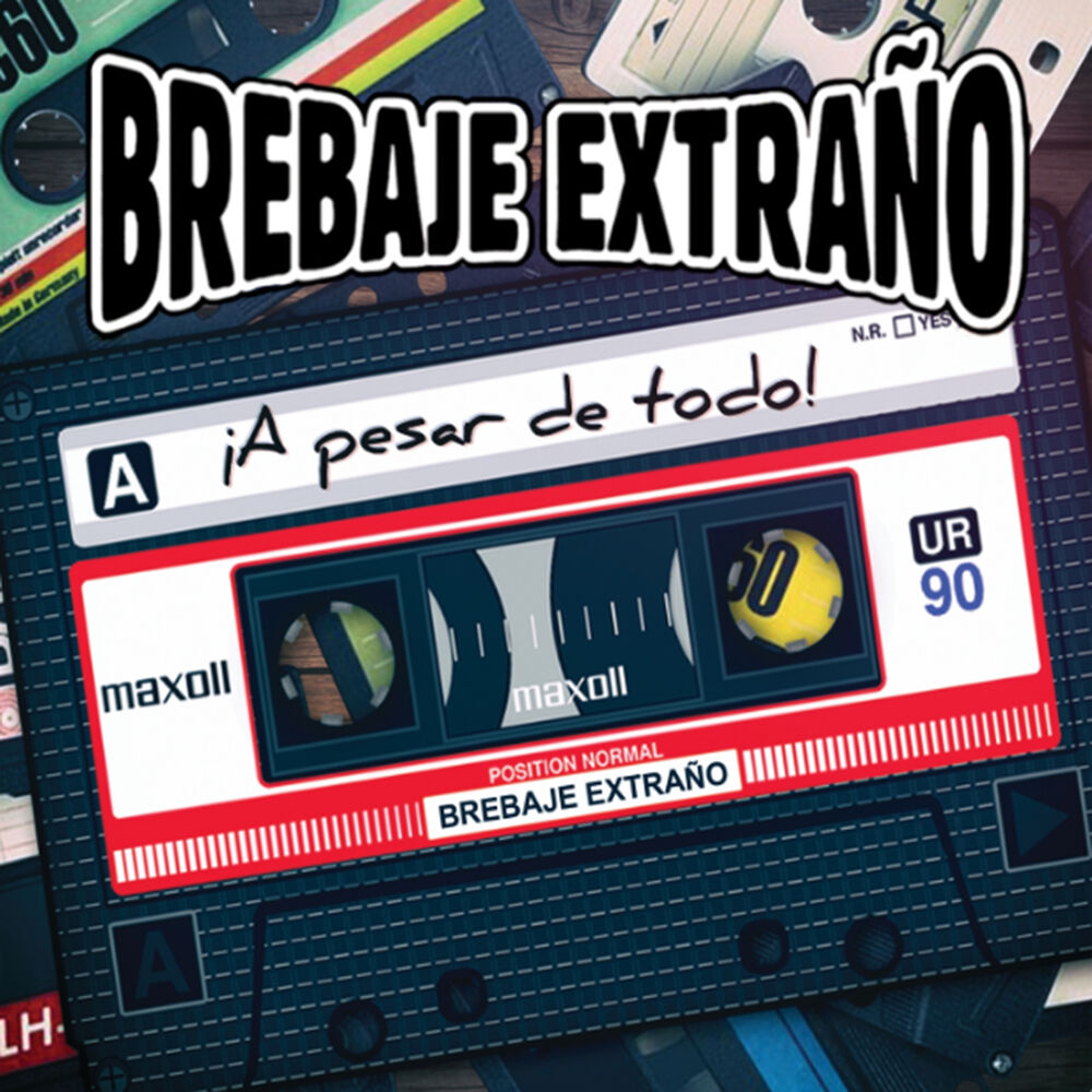 Picture of ¡A Pesar de Todo!