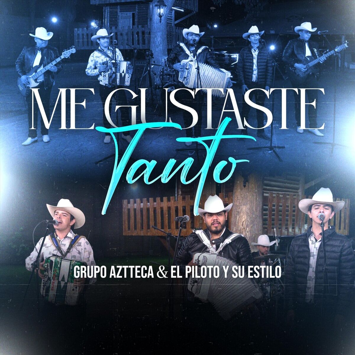 Album cover of Me Gustaste Tanto