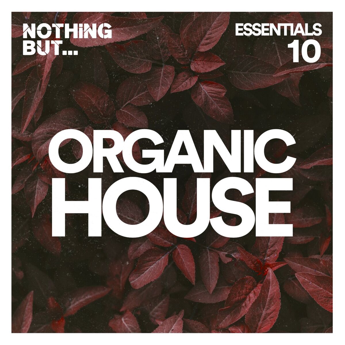 Album cover of Nothing But... Organic House Essentials, Vol. 10