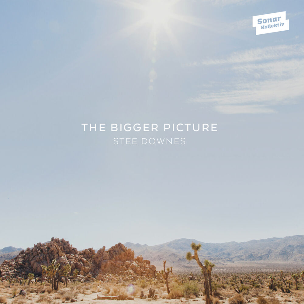 Picture of The Bigger Picture