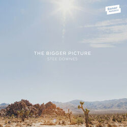 Cover of The Bigger Picture