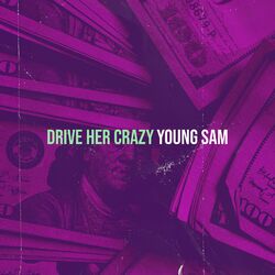 Cover of Drive Her Crazy