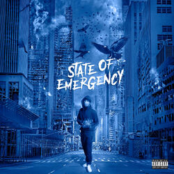 Cover of State of Emergency