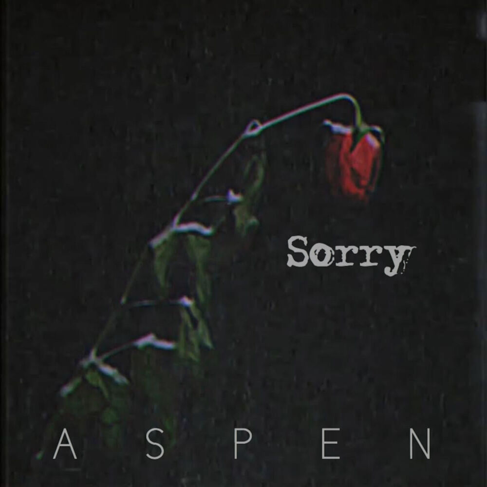 Picture of Sorry