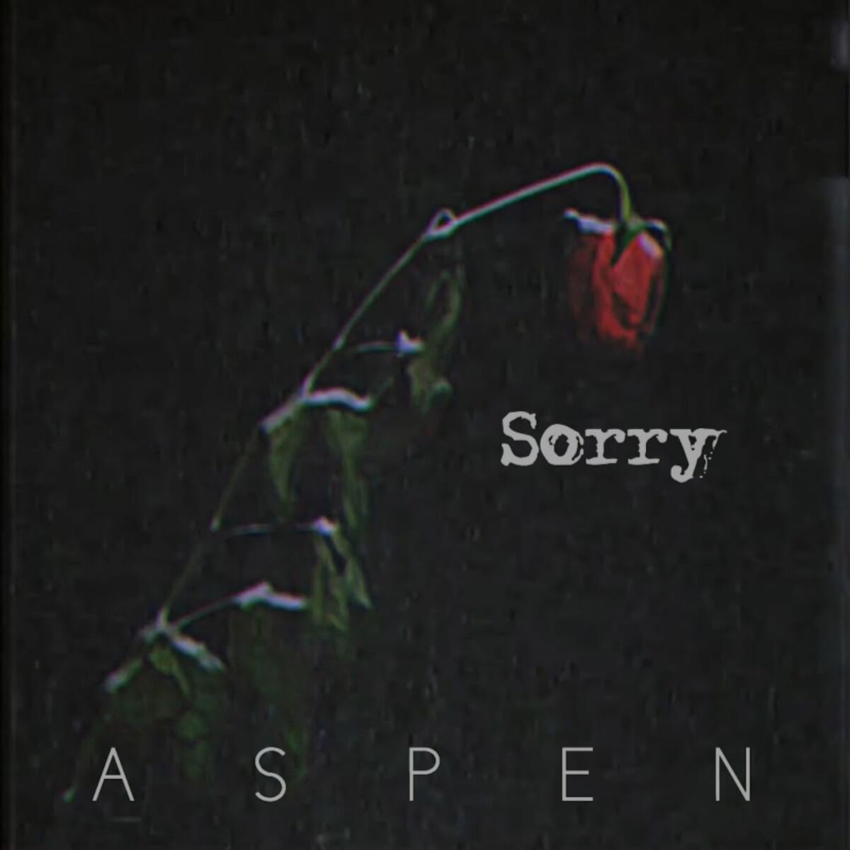 Album cover of Sorry