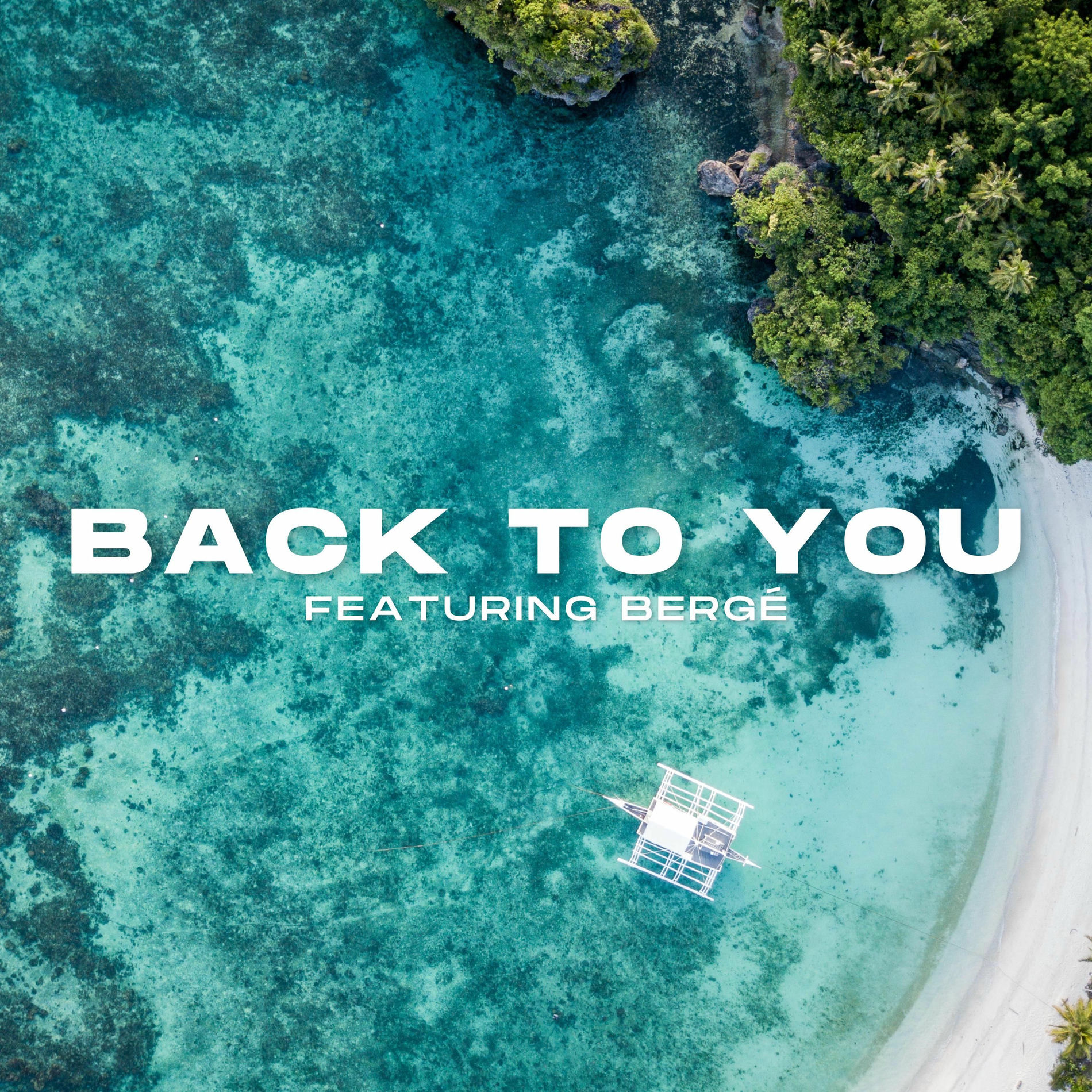 Album cover of Back to You (feat. BERGÉ)