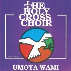 Cover of Umoya Wami