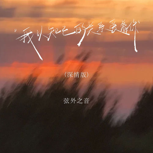 我以知己的关系爱着你 (深情版)