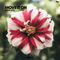Move It On by BLR album cover