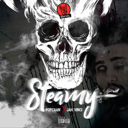 Cover of Steamy