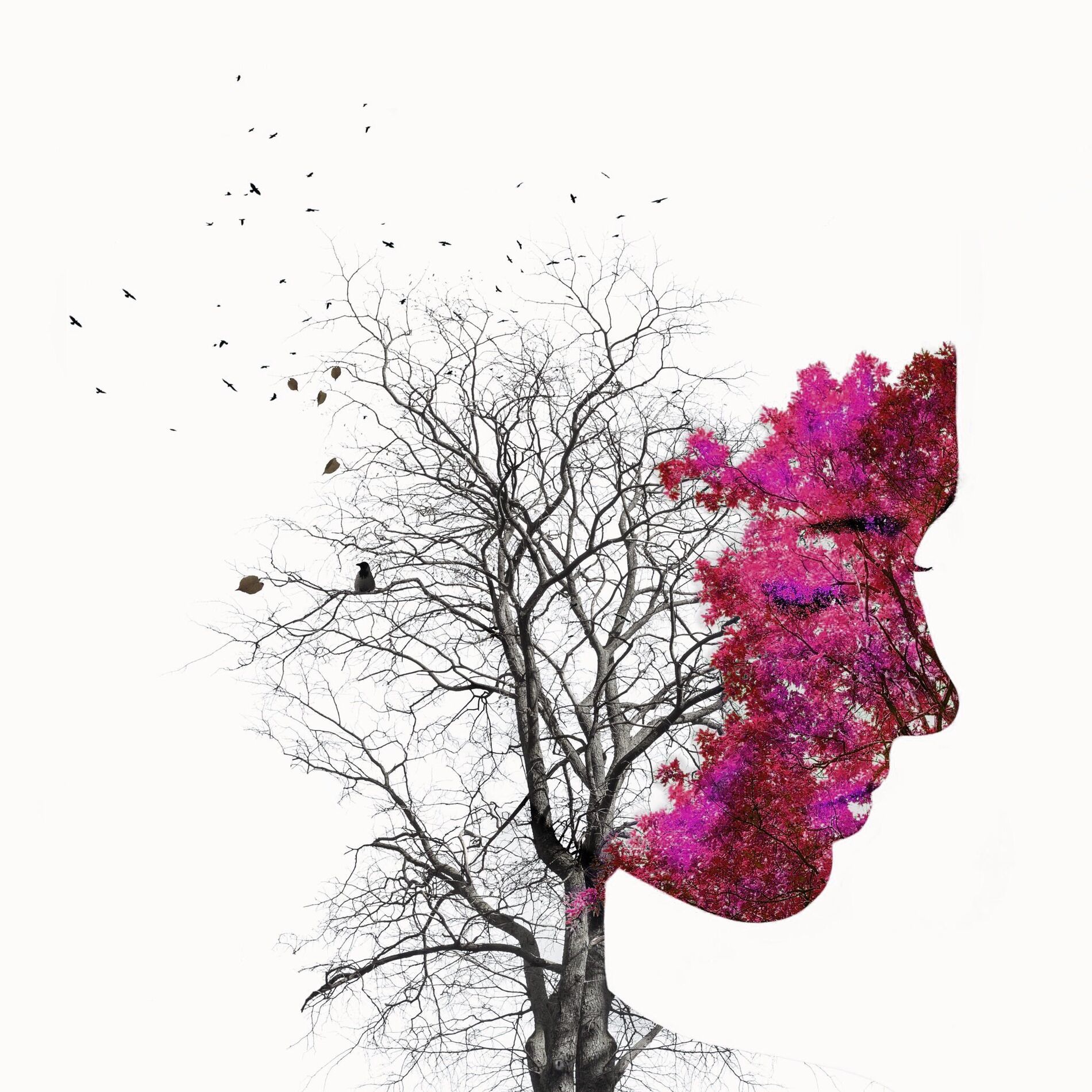 Album cover of Tied to You