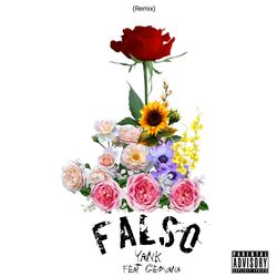 Cover of Falso