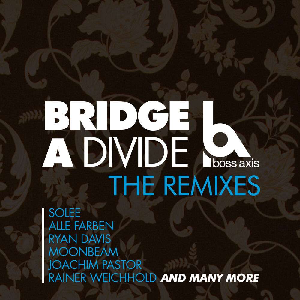 Picture of Bridge a Divide (The Remixes)