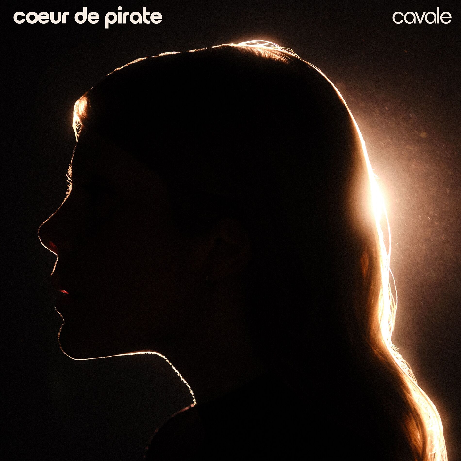 Album cover of Cavale