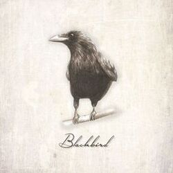 music cover
