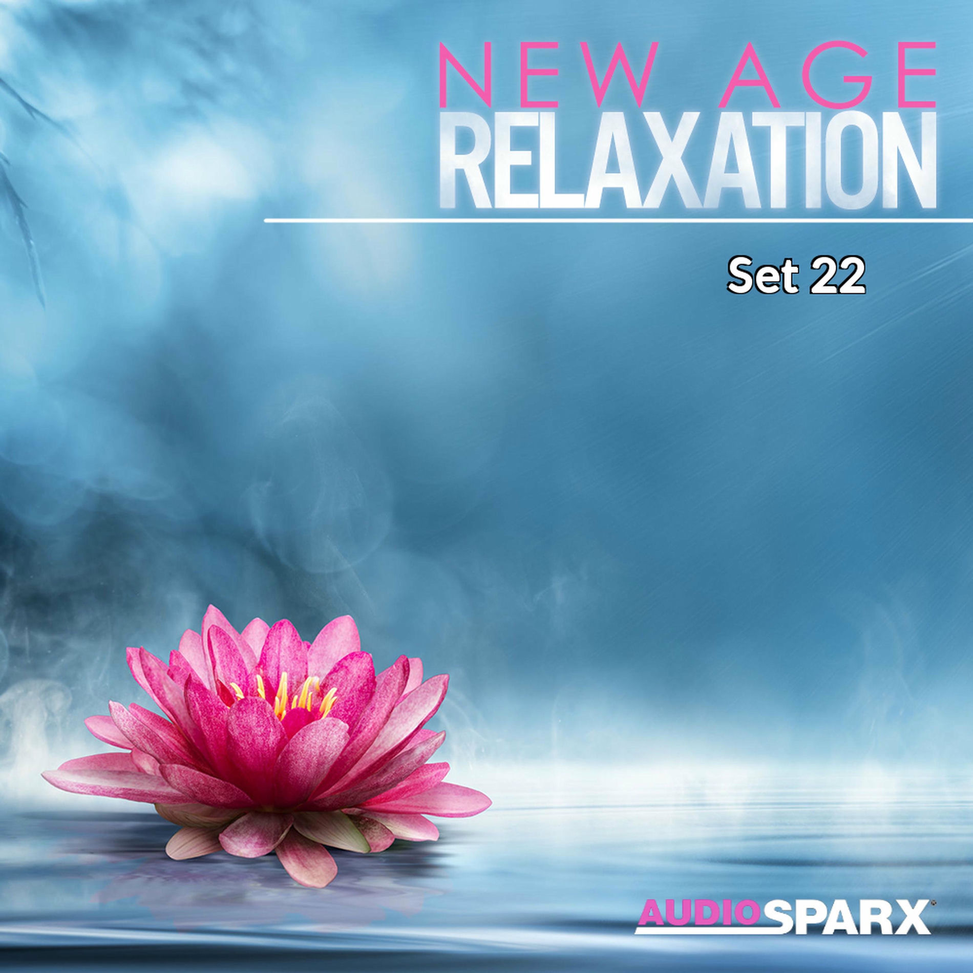 Album cover of New Age Relaxation, Set 22
