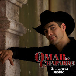 Cover of Si hubiera sabido