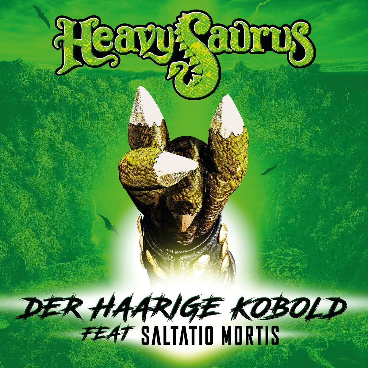 Album cover of Der haarige Kobold