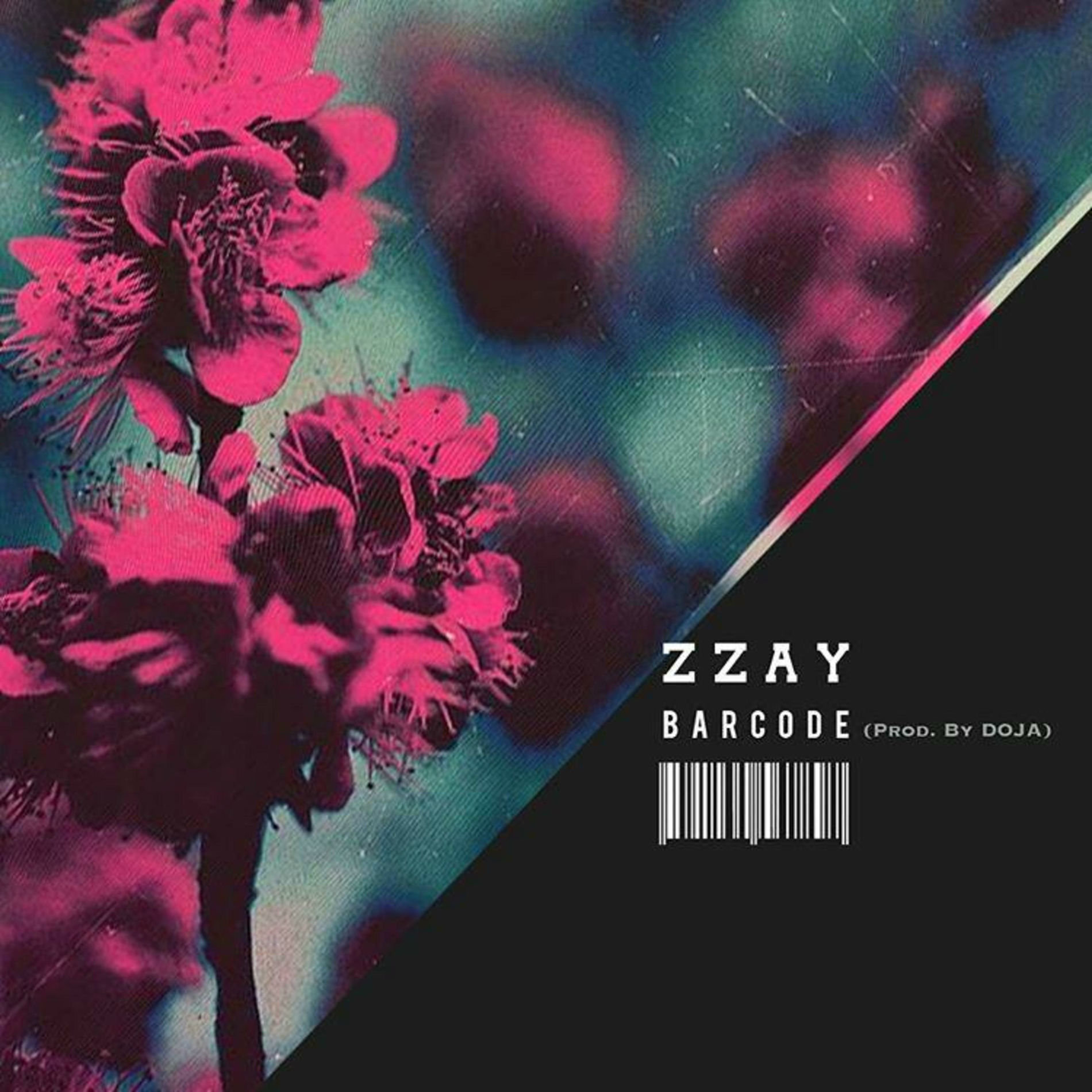 Album cover of Barcode (feat. Doja)