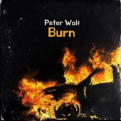 Cover of Burn