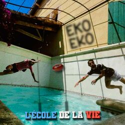 Cover of L'école de la vie