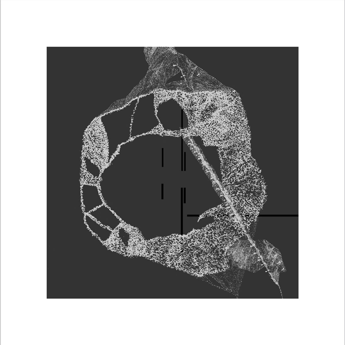 Album cover of Eli Keszler / Keith Fullerton Whitman Split